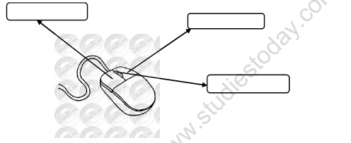 CBSE Class 2 Computers Handling A Mouse Worksheet